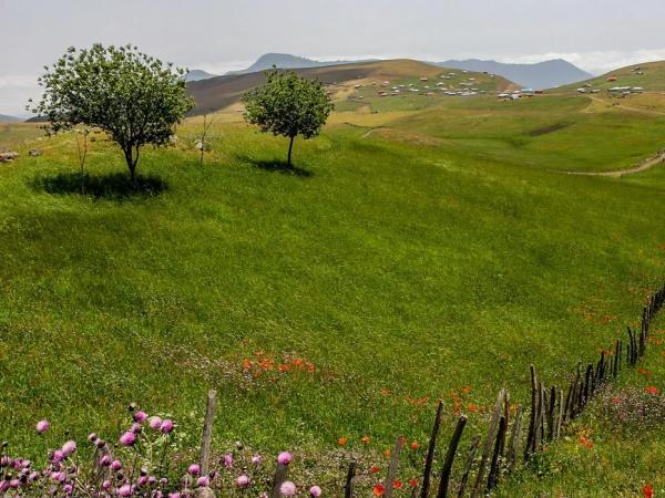 سفر به ییلاق شکر دشت گیلان