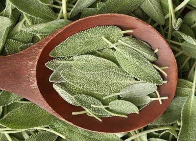 تأثیر عصاره مریم گلی خاردار بر کاهش اضطراب